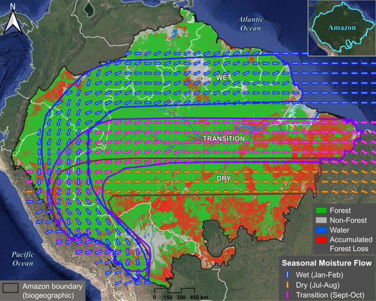 Amazon loses 240 million acres of forest, risking rainfall disruption
