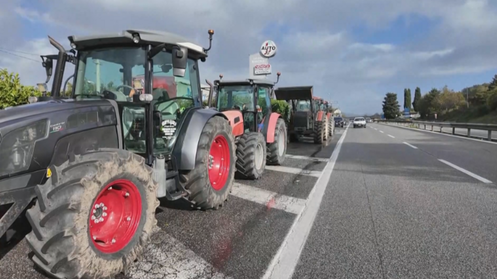 Italy's trucker protests halt buffalo mozzarella production, cost ...
