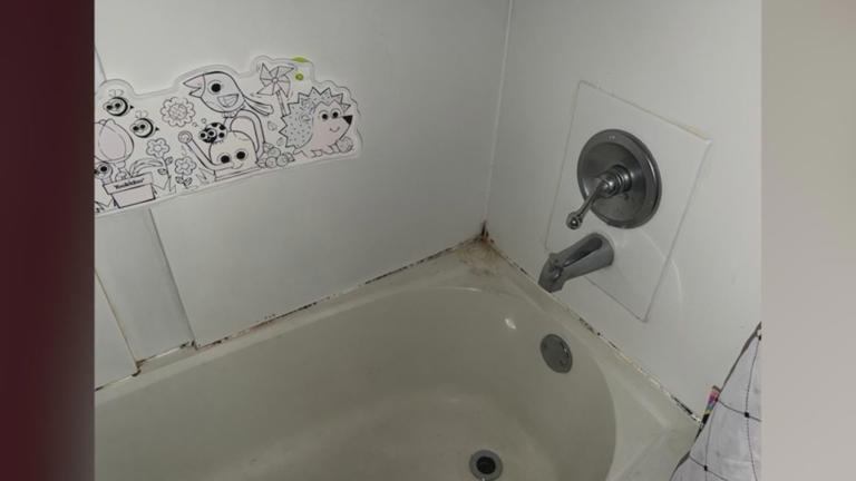 Rensselaer Housing Authority tenants raise concerns over mold, water damage