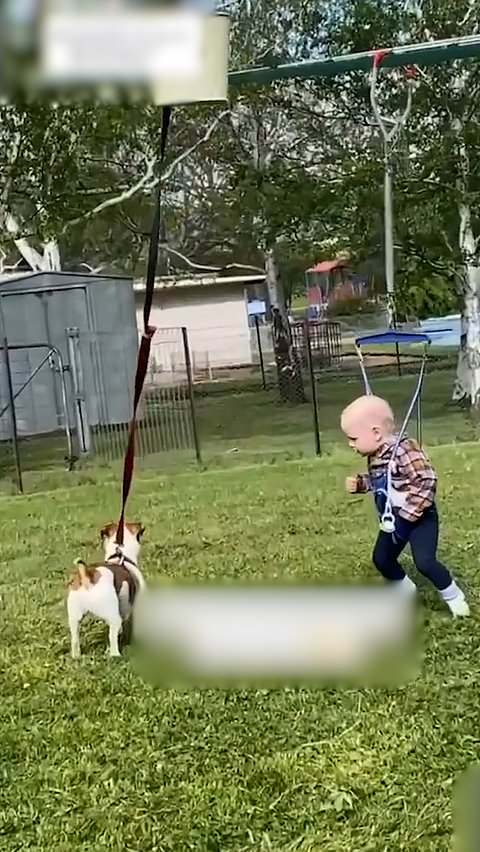 Mom's creative clothesline hack entertains baby and dog
