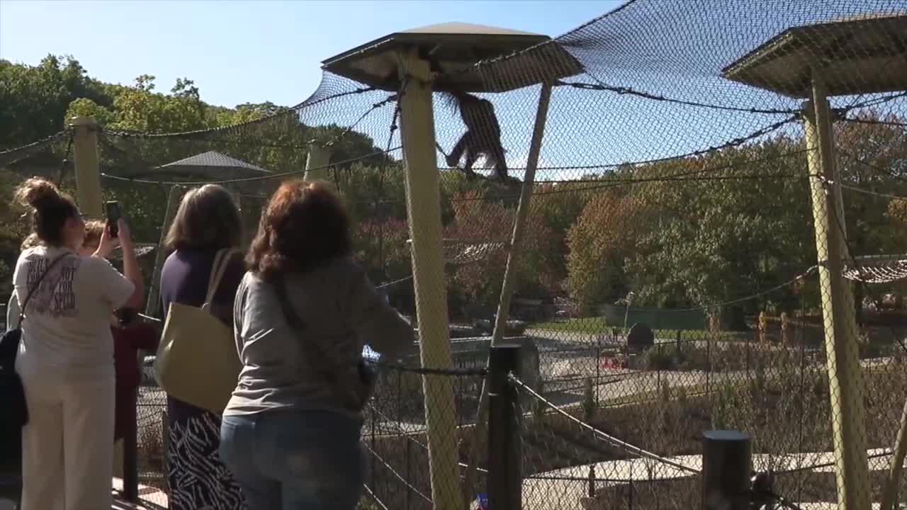 Cleveland Metroparks Zoo opens new Primate Forest after 2-year renovation