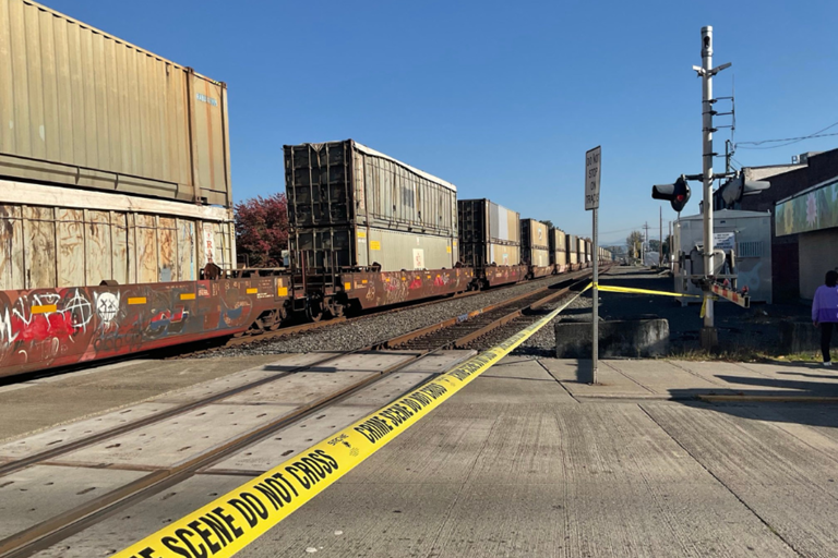 Washington killed by train after wheelchair gets stuck on tracks