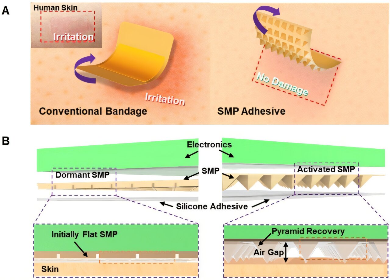 Smart adhesive patch sticks securely and releases gently without ...