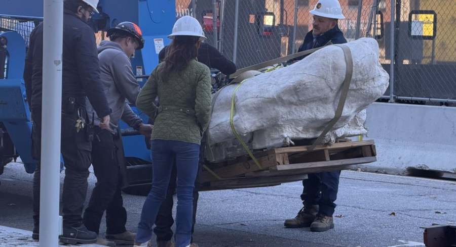 75-million-year-old dinosaur delivered to North Carolina science museum ...