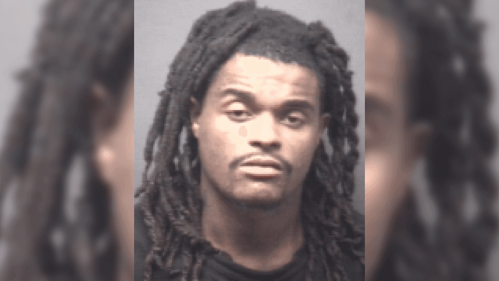 Greenville man faces felony vehicle break-in charge, other counts