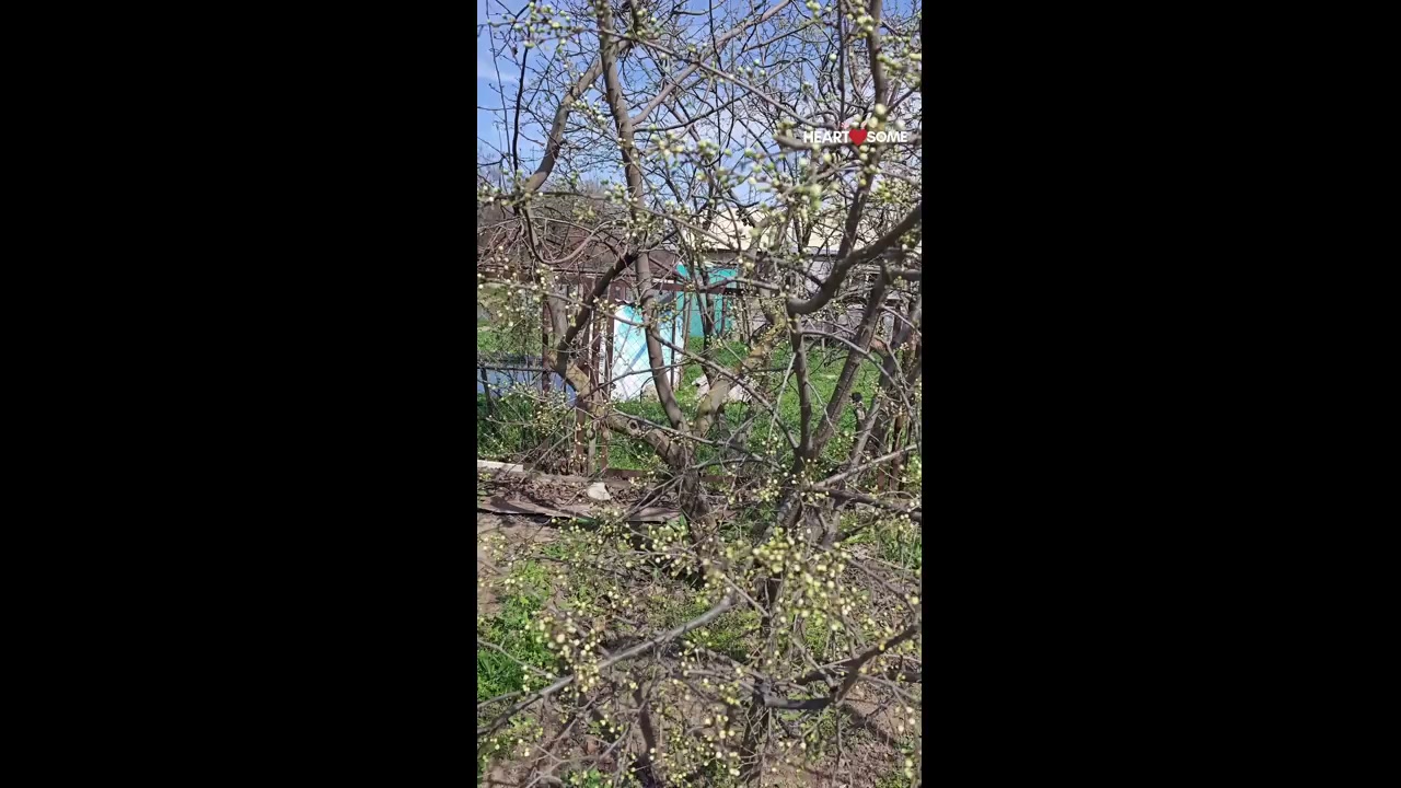 Young child safely handles snake in garden and throws it over fence