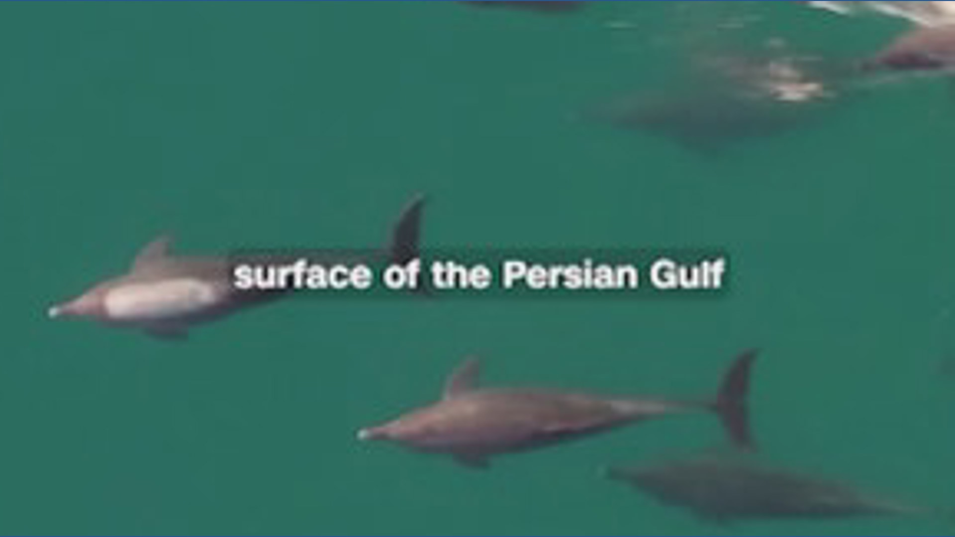 Iran war doubles Gulf oil pollution, according to oceanographers