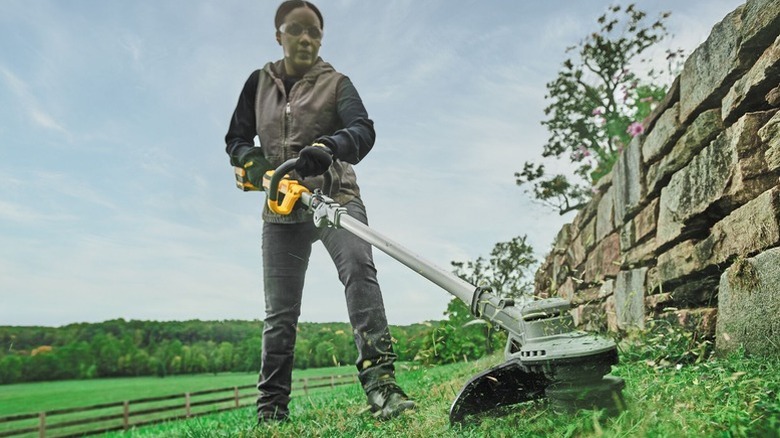 Common problems with DeWalt weed eaters (according to owners)
