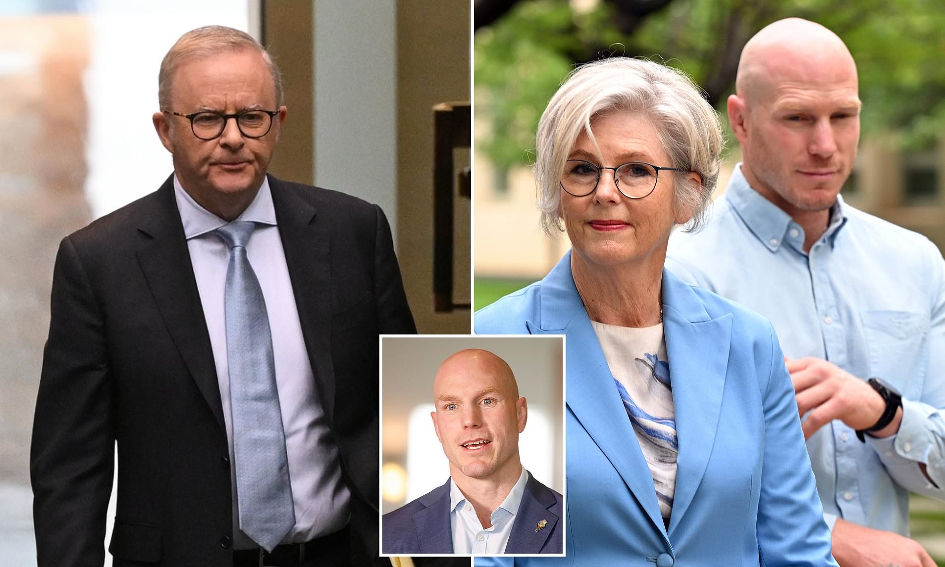 Helen Haines ally David Pocock unleashes on Albanese's dirt sheet ...