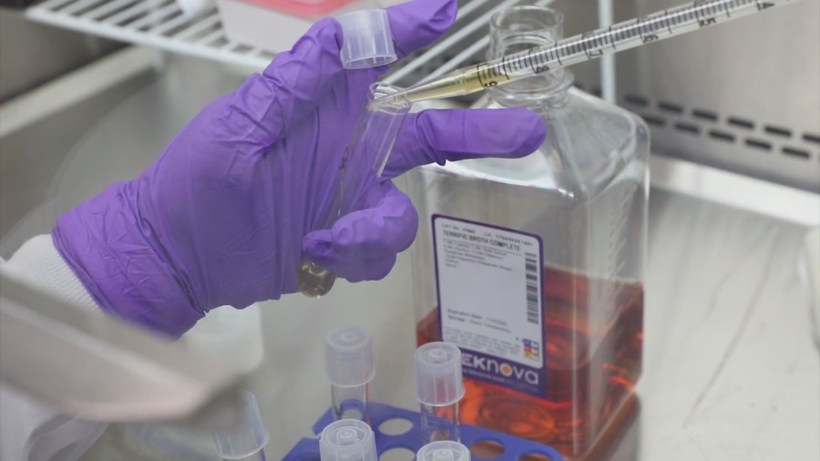 How mRNA vaccines could help the immune system fight cancer cells