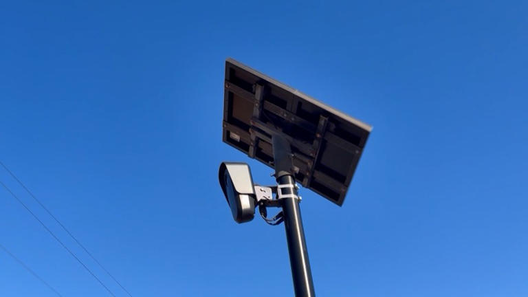 Guyton City Council moves forward with Flock camera