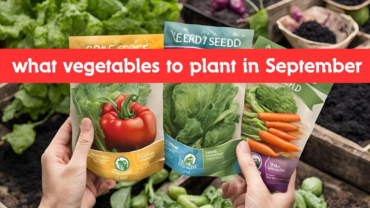 Vegetables that can thrive in cooler growing conditions