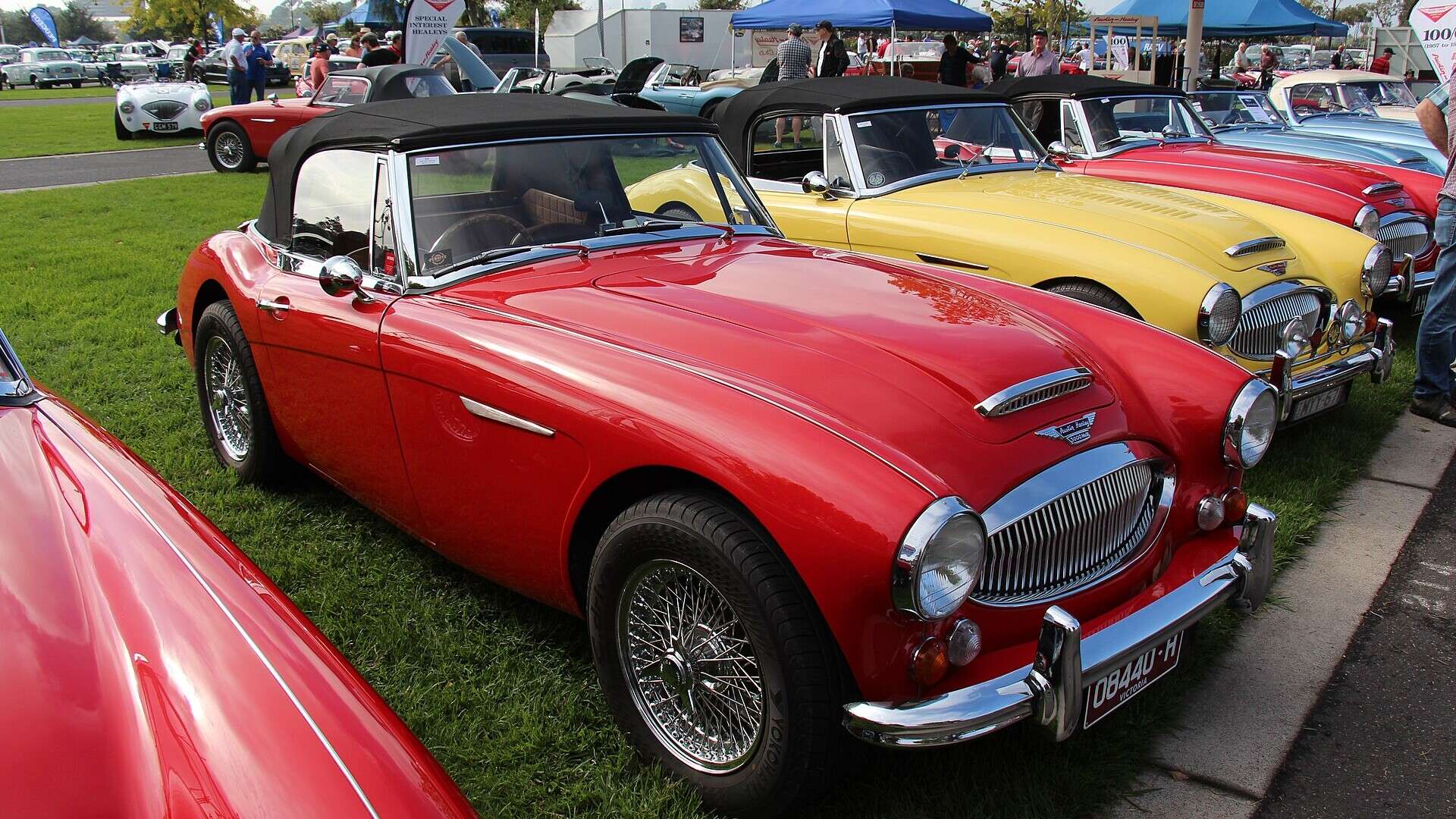 Austin-Healey 3000 vs Sunbeam Tiger vs Triumph TR6: Three British ...