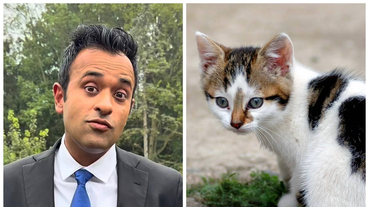 Court records show mom from Ramaswamy’s attack ad left kittens in hot car