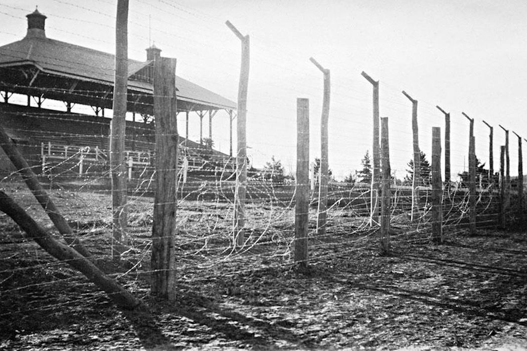 Interned as ‘enemy aliens’ in Australia, these WWII refugees built ...
