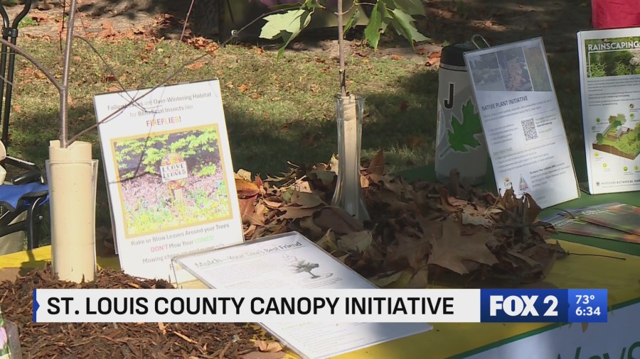 County launches Canopy Initiative to protect, grow new trees