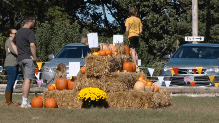 Dry, hot season cuts pumpkin supply, but farm fun keeps rolling all ...