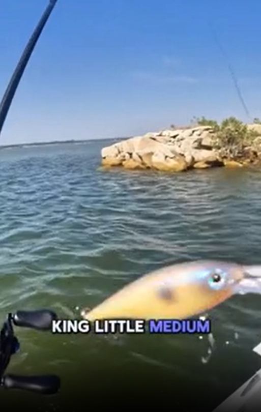Catching a fish in just one second!