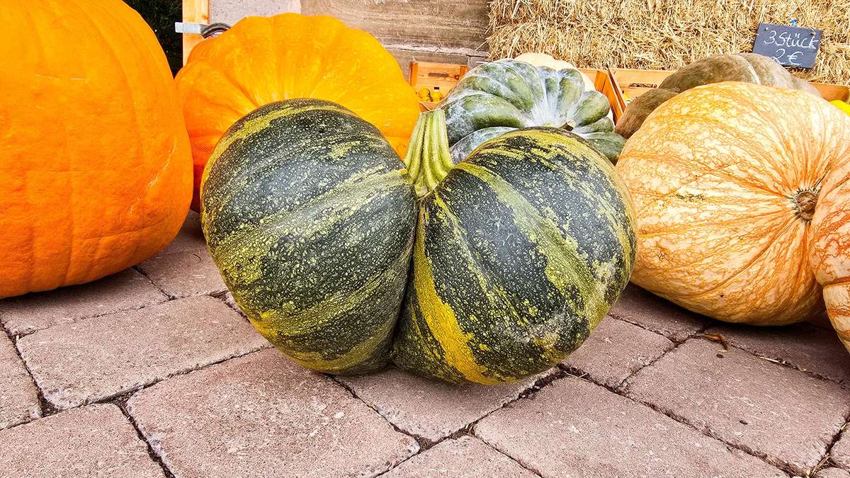AOK Hessen alarmiert: Dem Herbst-Tief mit Ernährung entgegenwirken