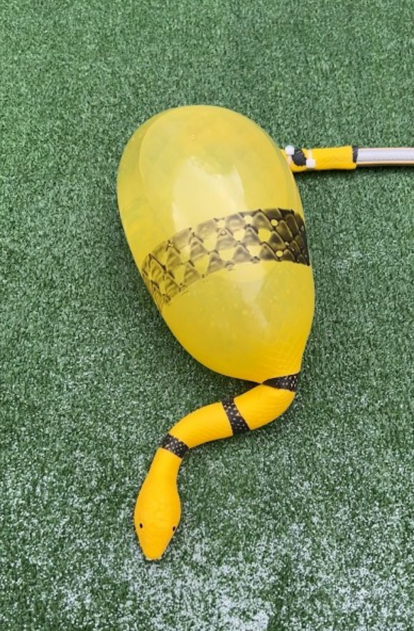 This snake just popped in a shocking explosion
