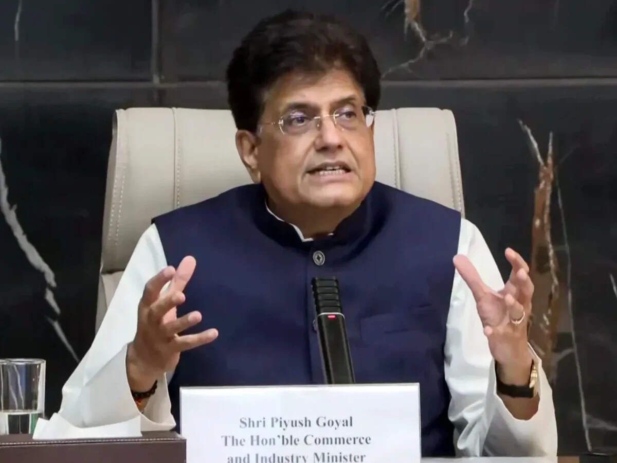 The problem was caused by you: Commerce Minister Piyush Goyal calls out ...