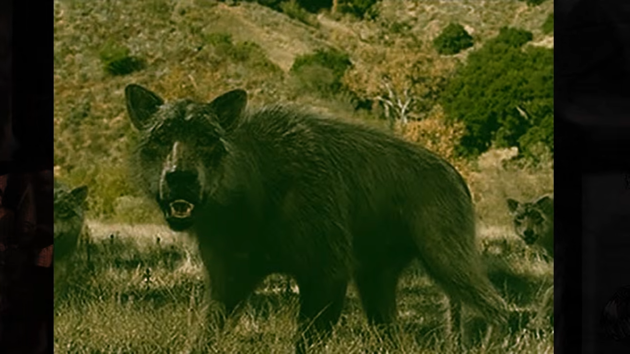 Utah’s Skinwalker Ranch: The Shermans said they shot a wolf 5 times… it ...
