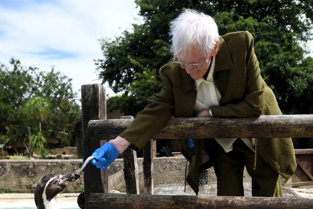 Tributes to 104-year-old veteran who fulfilled dream of feeding penguins
