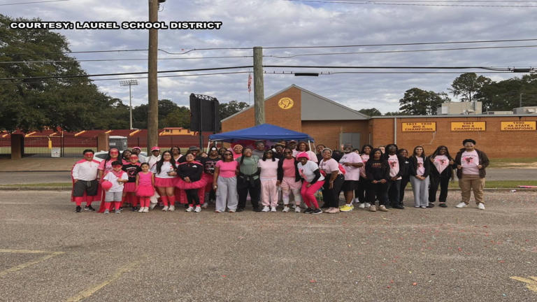 Laurel High School students organizing breast cancer awareness walk to ...