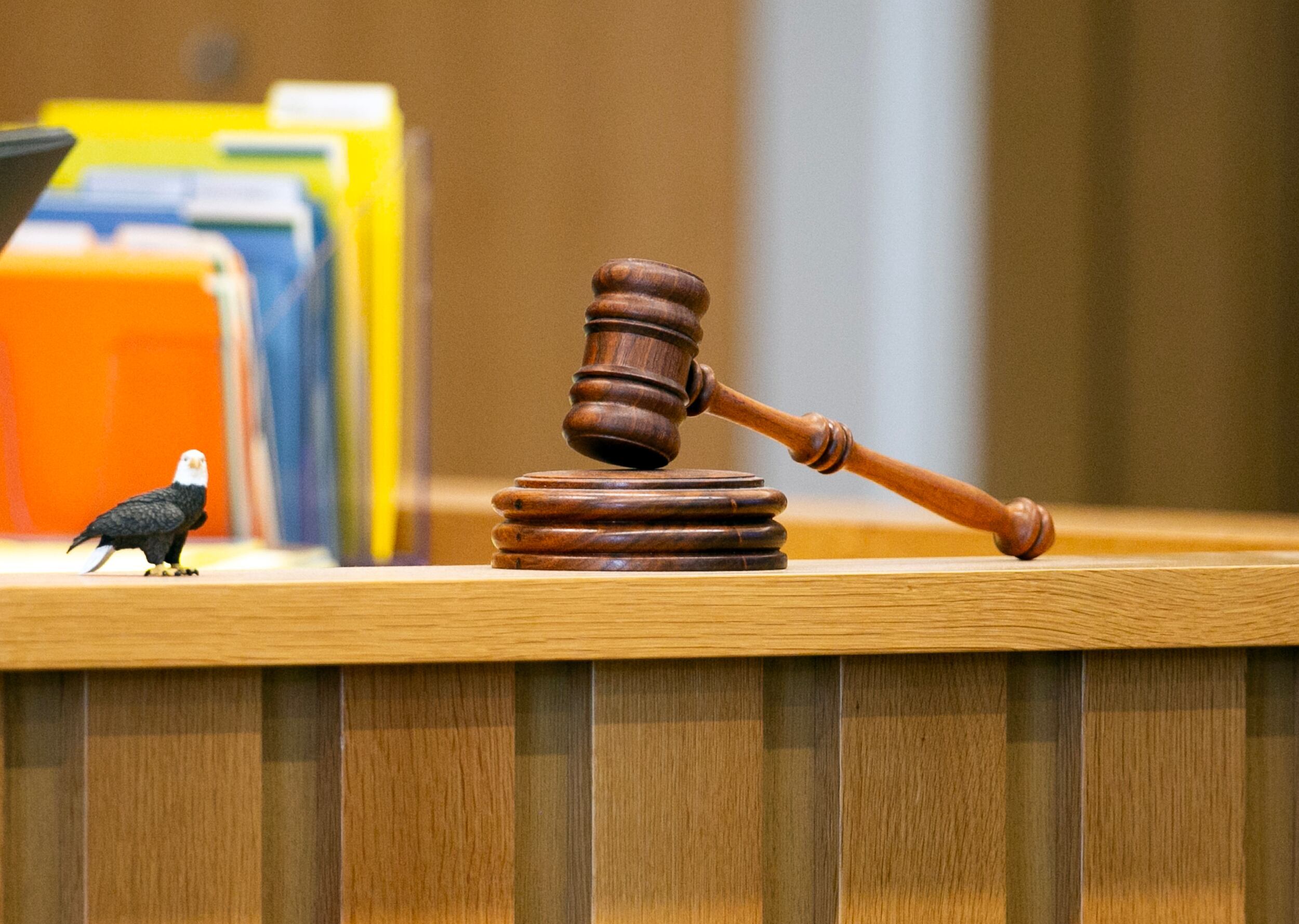 Portland dog owner gets 6 months in jail after dog mauling costs woman ...