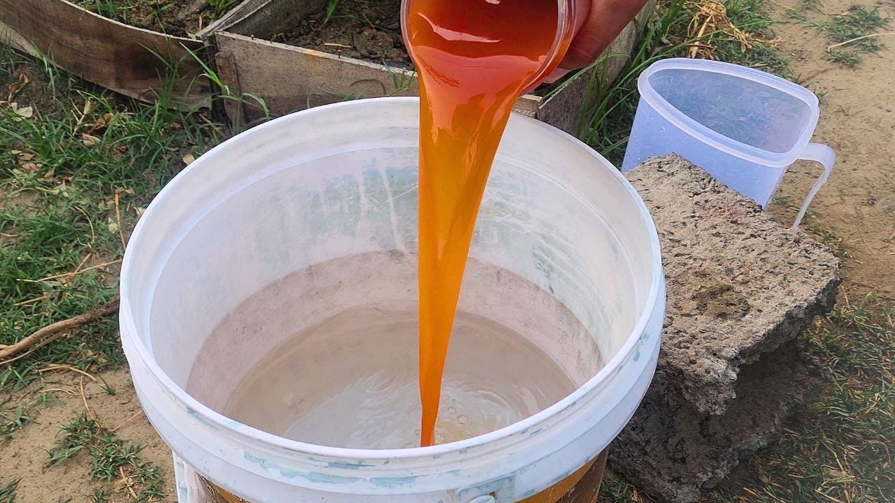 Affordable organic fertilizer ideas for growing tomatoes