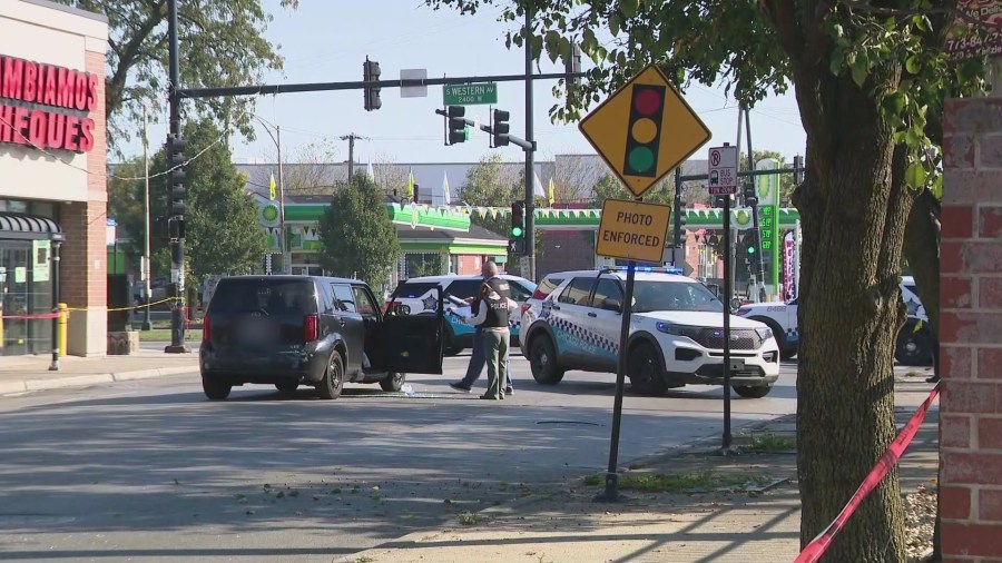 Woman shot in head during apparent road rage incident in Brighton Park ...
