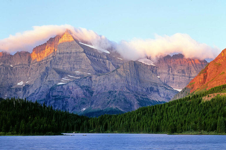 Deadly fungus rears its head at Glacier National Park for the first time