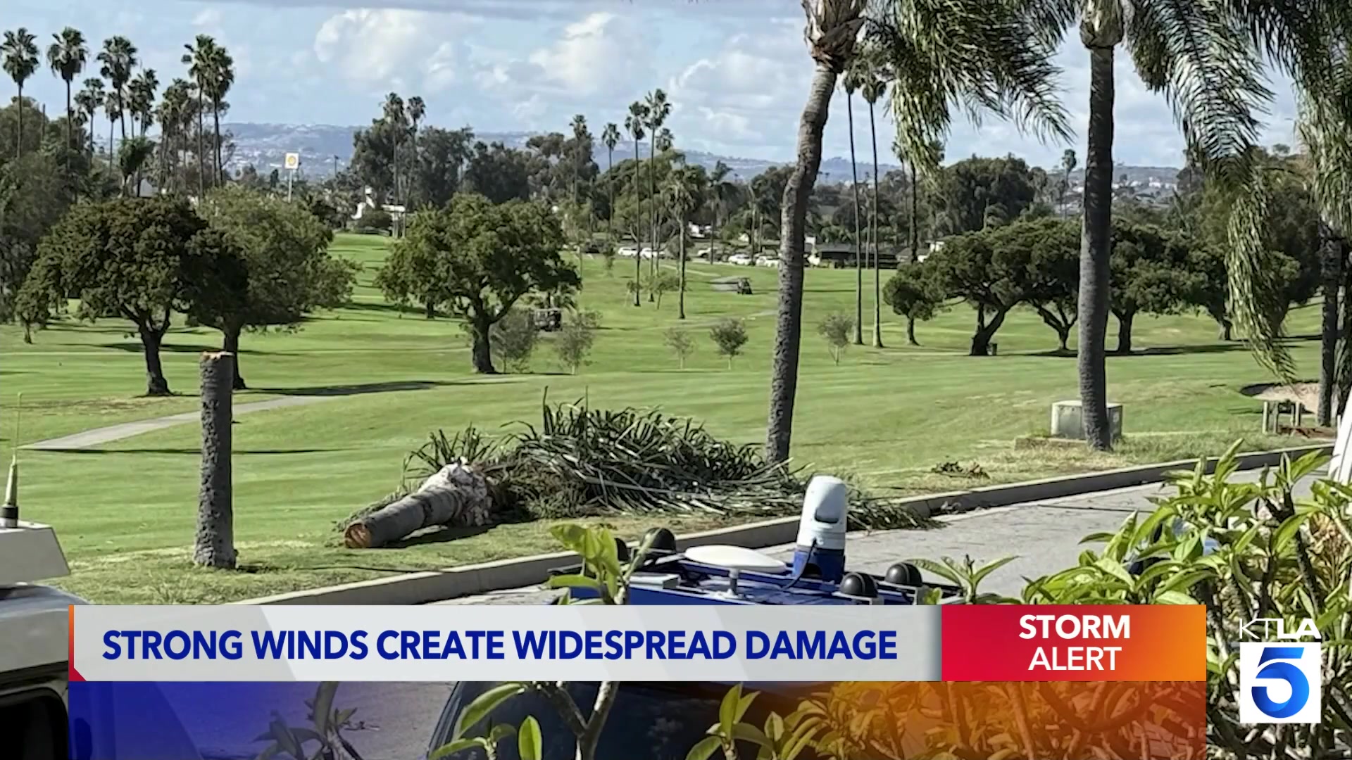 Strong winds create widespread damage in San Clemente