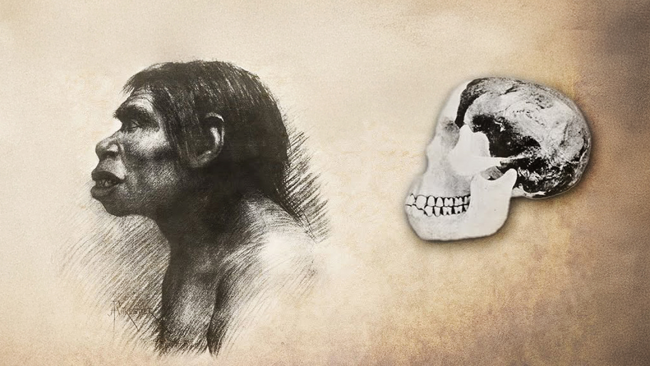 Piltdown Man: 1953 tests revealed a three-species fake