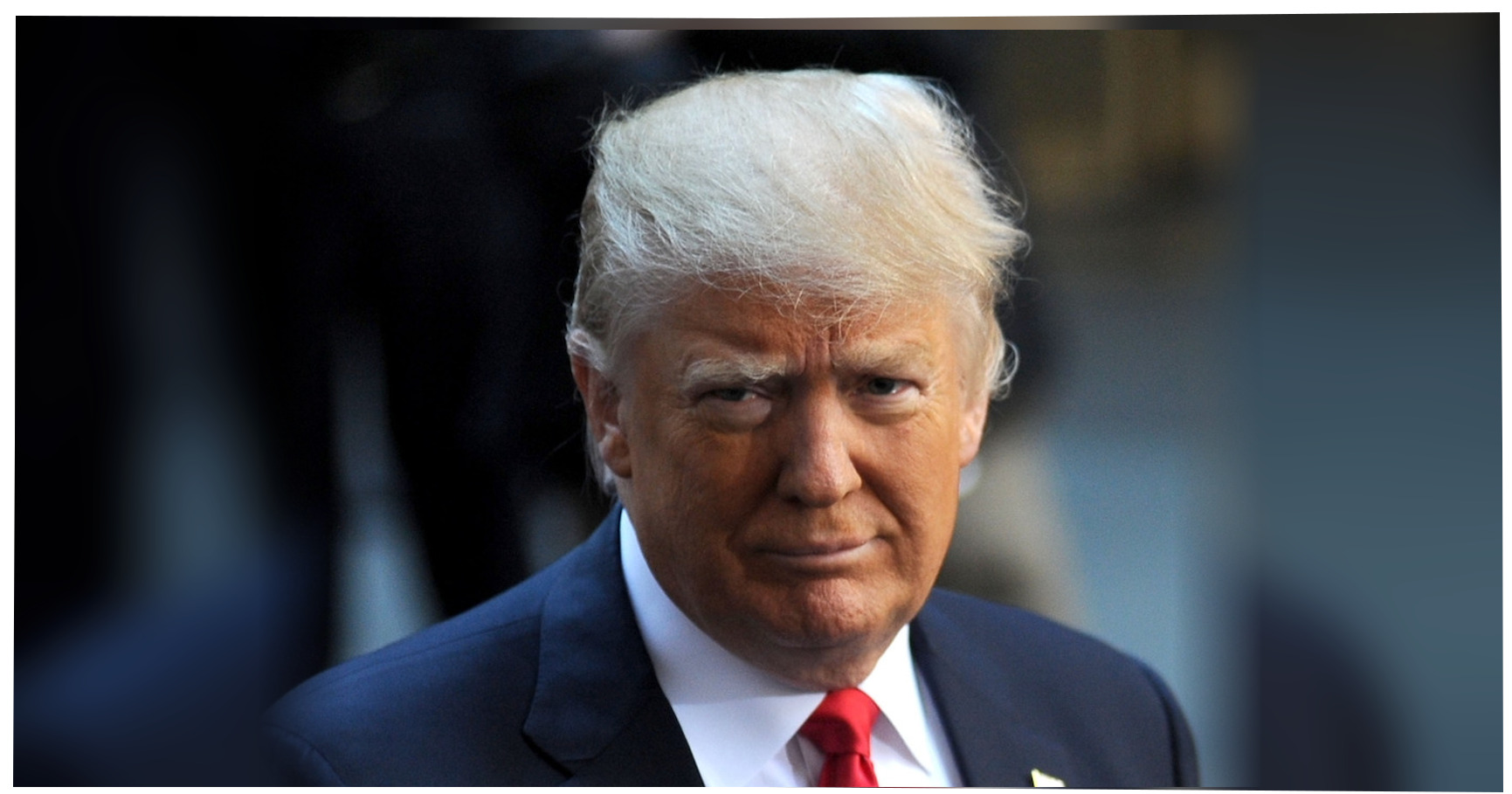 Trump cheers a punch thrown at a protester at his Clemson rally: 'I ...