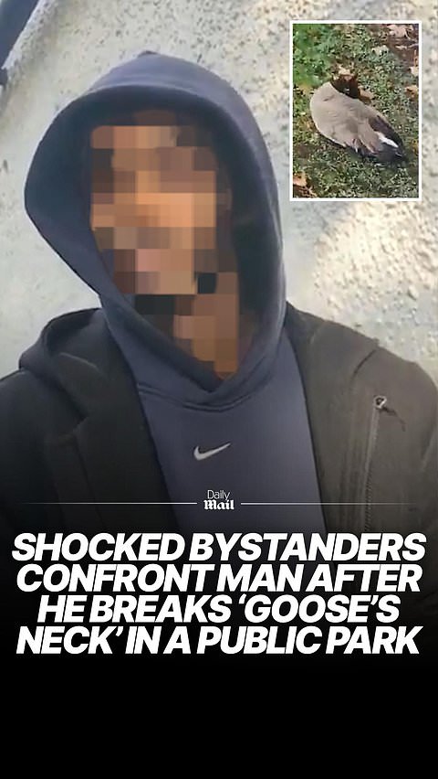 Moment bystanders confront man after he breaks goose's neck