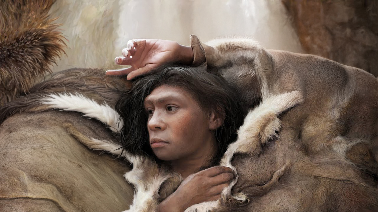 3 amino acid changes: Why Neanderthal brain cells made more chromosome ...