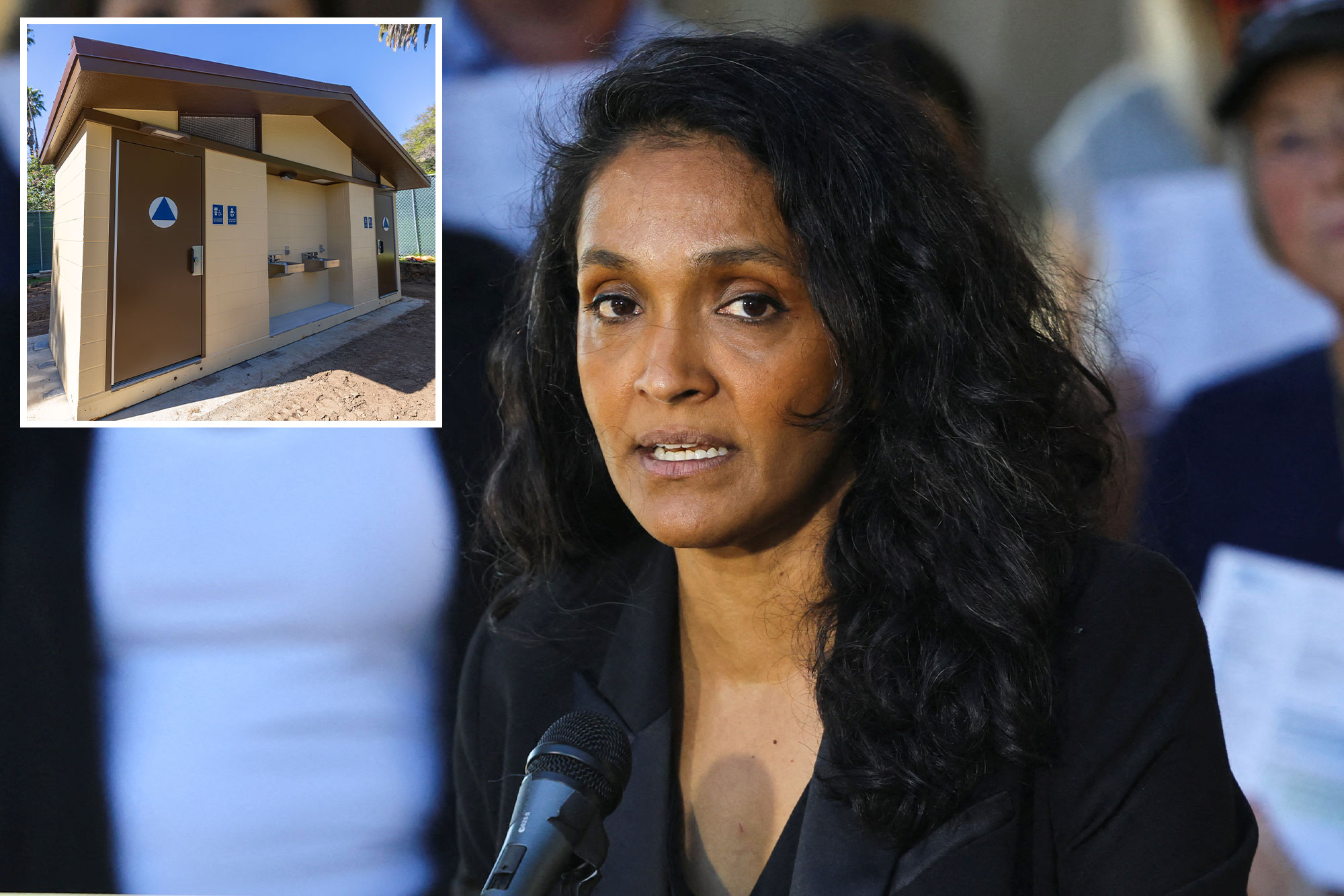 The real reason 'rubber-stamp' Nithya Raman wants more wildly expensive ...