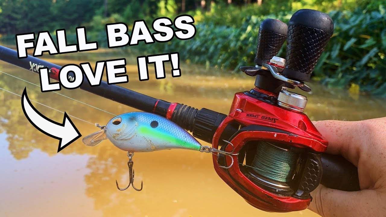 Fall bass fishing is finally here and the bite is heating up
