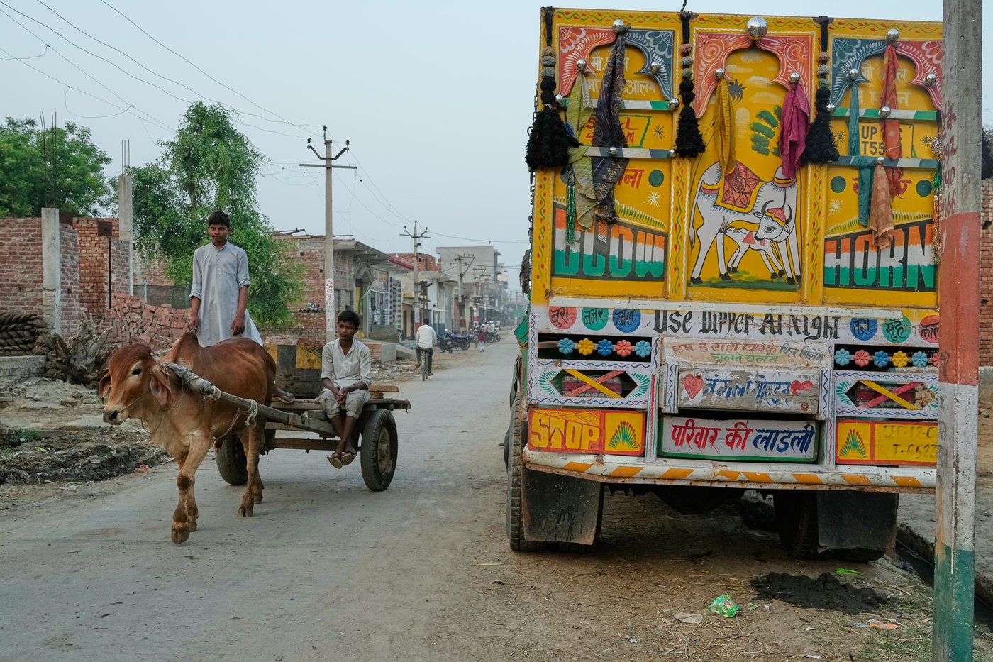 Takeaways from AP investigation into police shootings of alleged cow ...