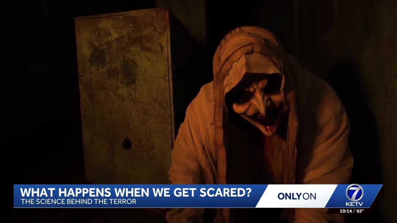 The science of being scared: What happens to your brain, body when fear ...