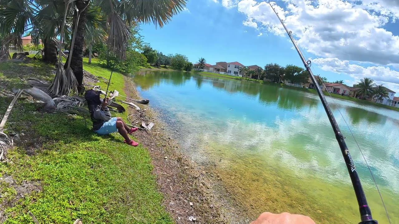 Bass fishing in random South Florida ponds and lakes