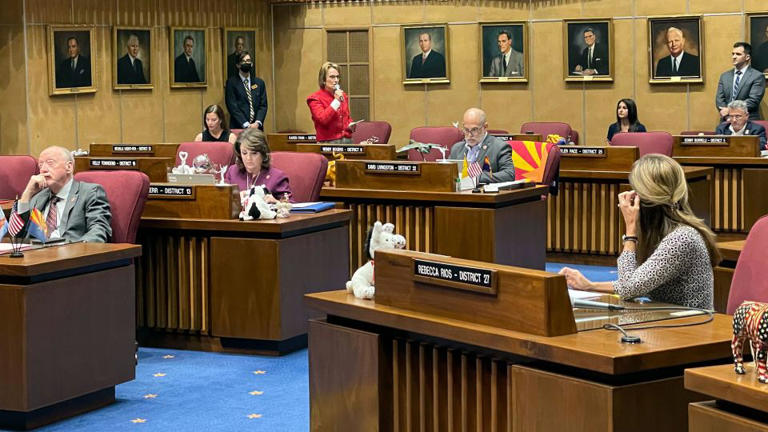 Arizona Sen. Wendy Rogers, standing in the background, defends her comments ahead of a censure vote at the state Capitol in Phoenix on March 1, 2022. - Jonathan J. Cooper/AP