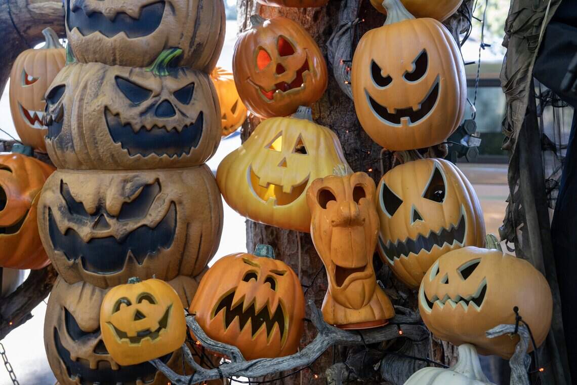 What's the best Halloween activity according to Sacramentans? Vote in ...