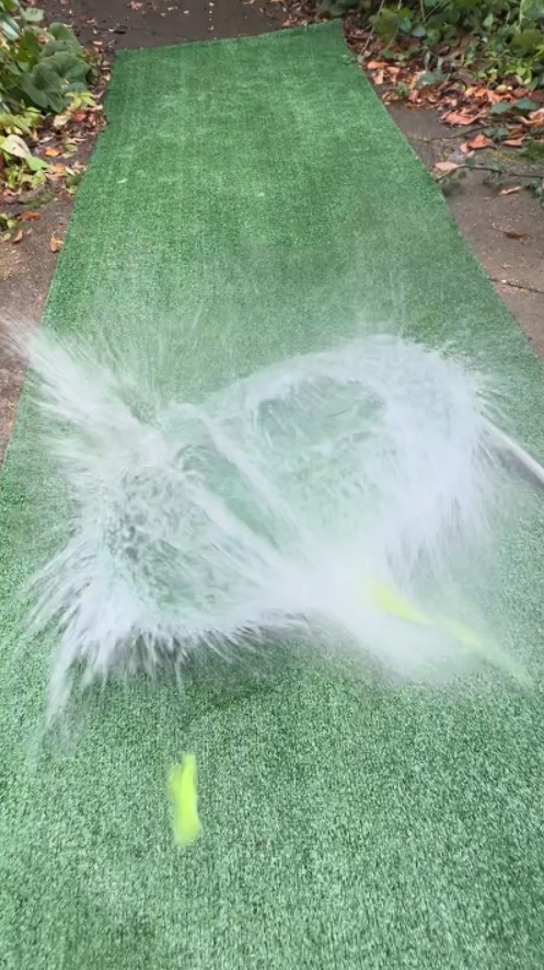 Lizard bursts in a wild and satisfying splash