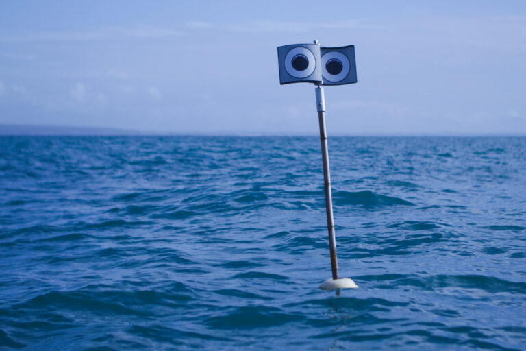 Googly-eyed buoys and kites help keep seabirds out of fishing nets ...