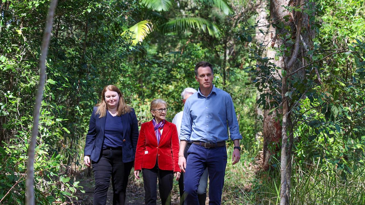 Green light for koala park a decade in the making