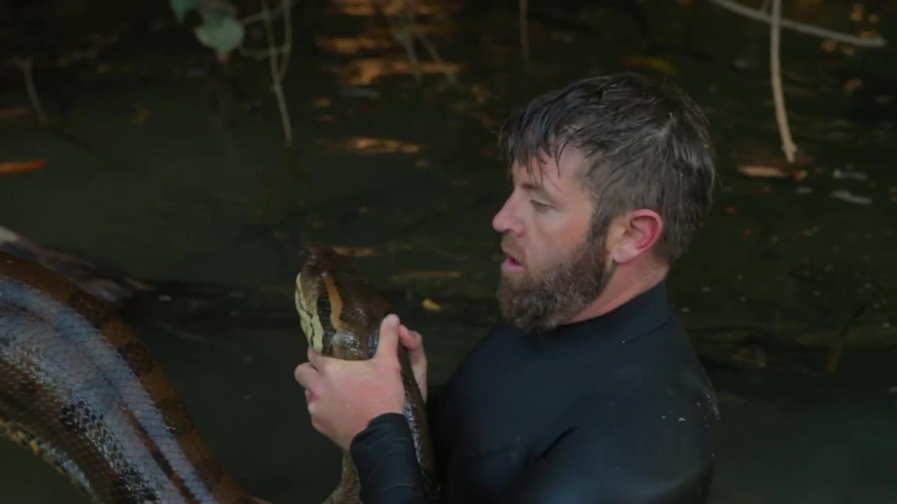 A 47-foot snake that hunted crocodiles was just the beginning - meet 6 ...