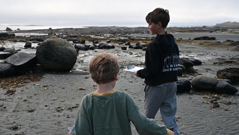 Exploring Hornby Island: Inside the seaweed school adventure