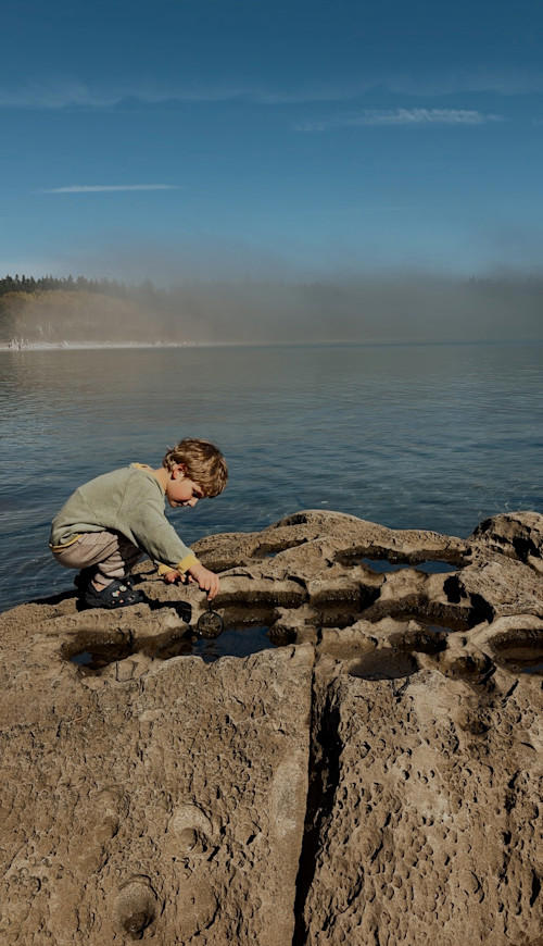 Exploring Hornby Island: Inside the seaweed school adventure